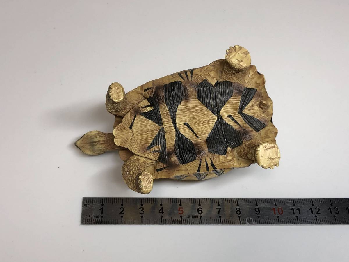 ホウシャガメ 白い フィギュア 大きさ 10cm 生き物 売買されたオークション情報 Yahooの商品情報をアーカイブ公開 オークファン Aucfan Com