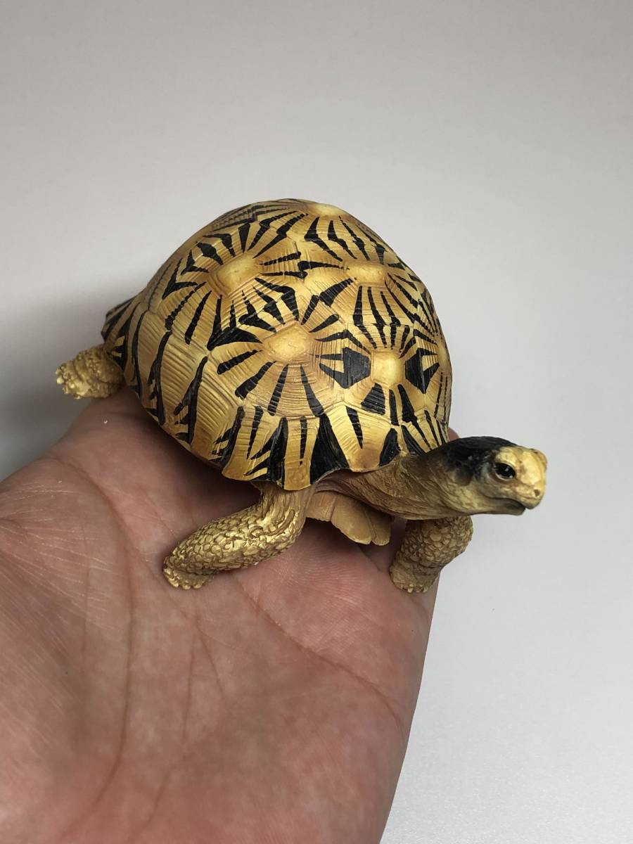 ホウシャガメ 白い フィギュア 大きさ 10cm 生き物 売買されたオークション情報 Yahooの商品情報をアーカイブ公開 オークファン Aucfan Com ホウシャガメ 白い フィギュア 大きさ 10cm 生き物 売買されたオークション情報 Yahooの商品情報をアーカイブ公開 オークファン Aucfan Com