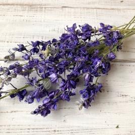 ラークスパー10本セット 千鳥草 ブルードライフラワー花材 ハー 