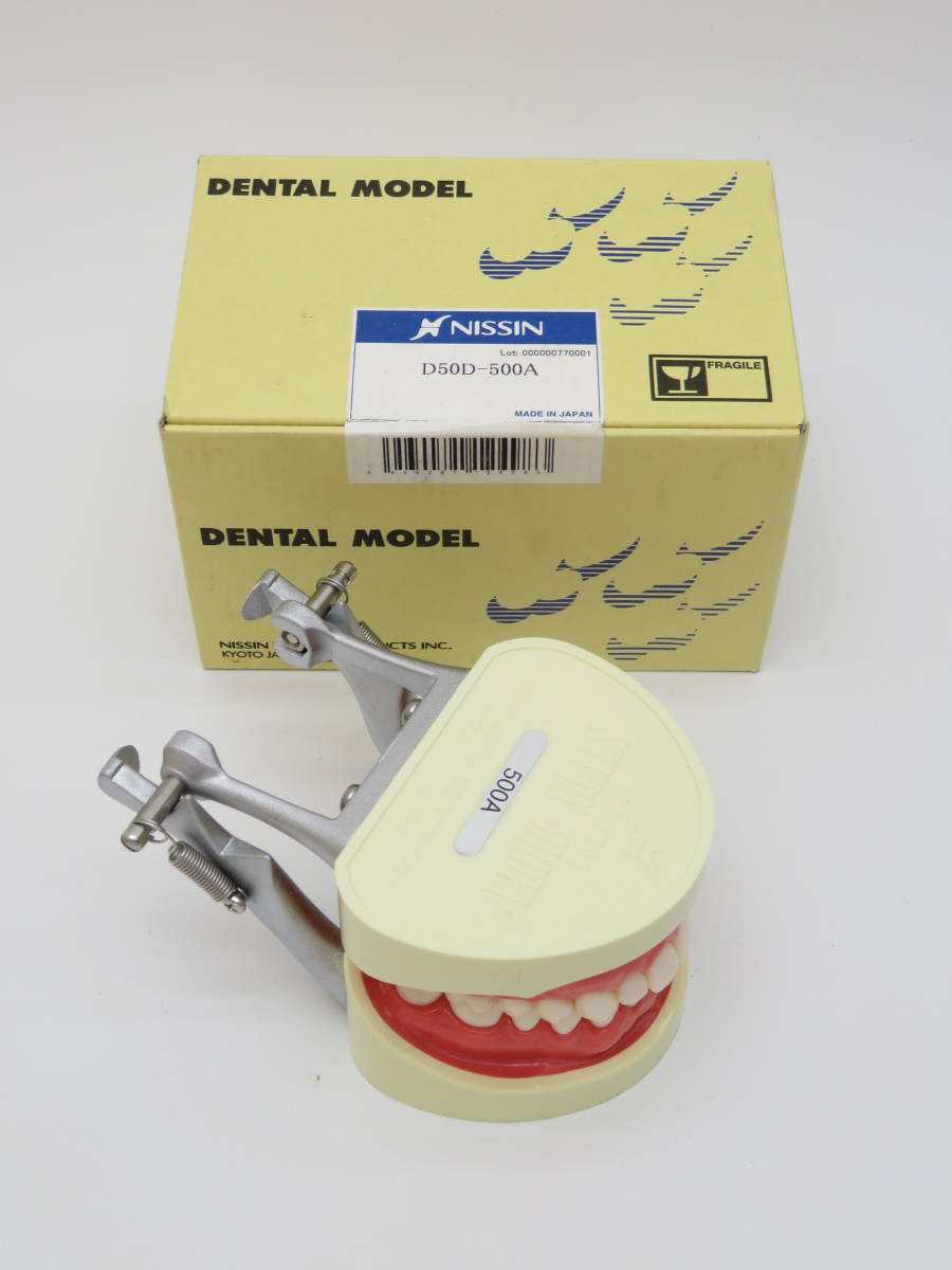 NISSIN 顎模型 ニッシン NISSIN DENTAL MODEL ニッシン 顎模型 歯科衛生士 まとめ売り