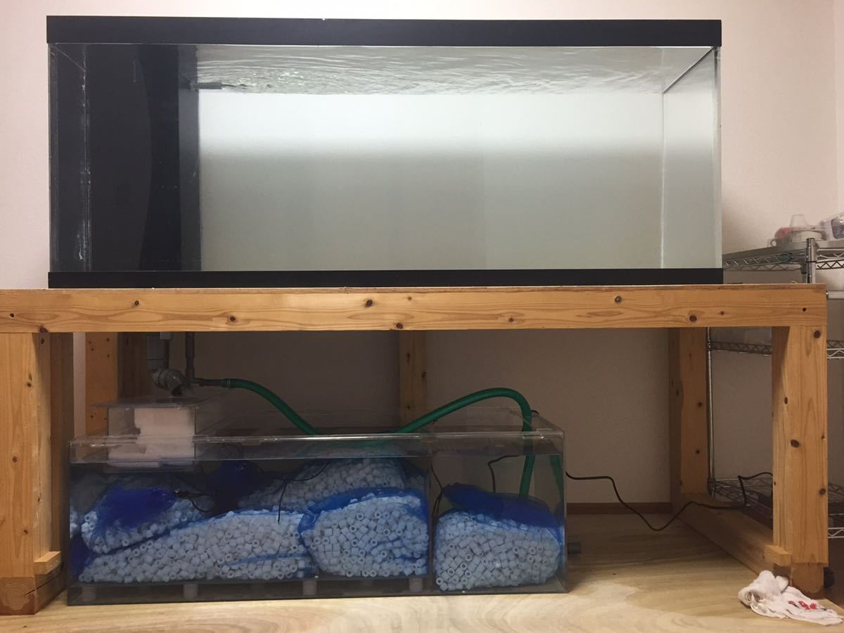 1500×600×500水槽アクリル水槽 オーバーフロー水槽 | 入荷情報ブログ 