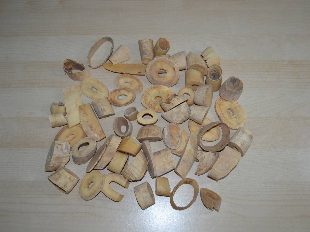 マッコウクジラ 鯨歯 抹香鯨 印材 歯 牙 彫刻 鯨 抹香鯨歯端材500g漁具 マッコウクジラ 鯨歯 抹香鯨 印材 歯 牙 彫刻 鯨 抹香鯨歯端材500g漁具
