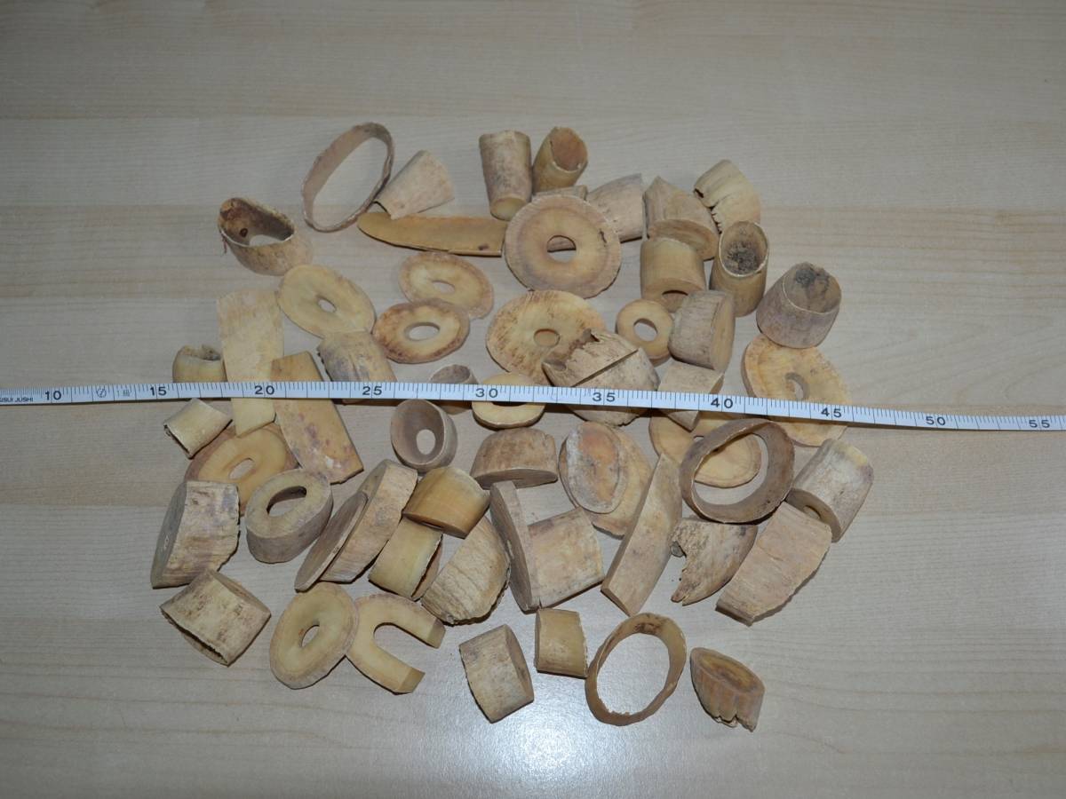 マッコウクジラ 鯨歯 抹香鯨 印材 歯 牙 彫刻 鯨 抹香鯨歯端材500g漁具
