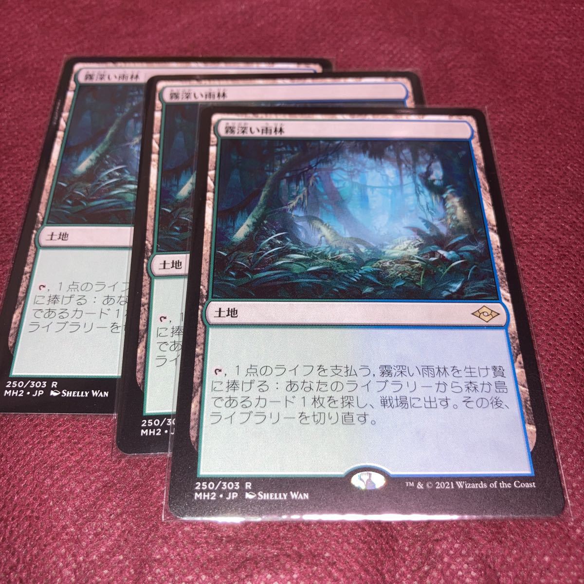 3枚組 霧深い雨林 ギャザリング mtg モダンホライゾン2 トレーディング