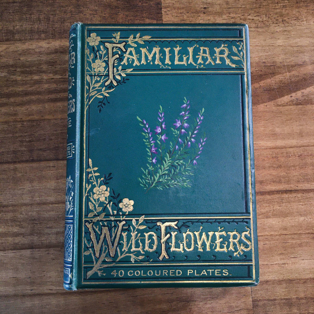 植物図鑑　洋書　ボタニカルアート　フランスアンティーク　　古書　14 植物図鑑 洋書 ボタニカルアート フランスアンティーク 古書 14 植物