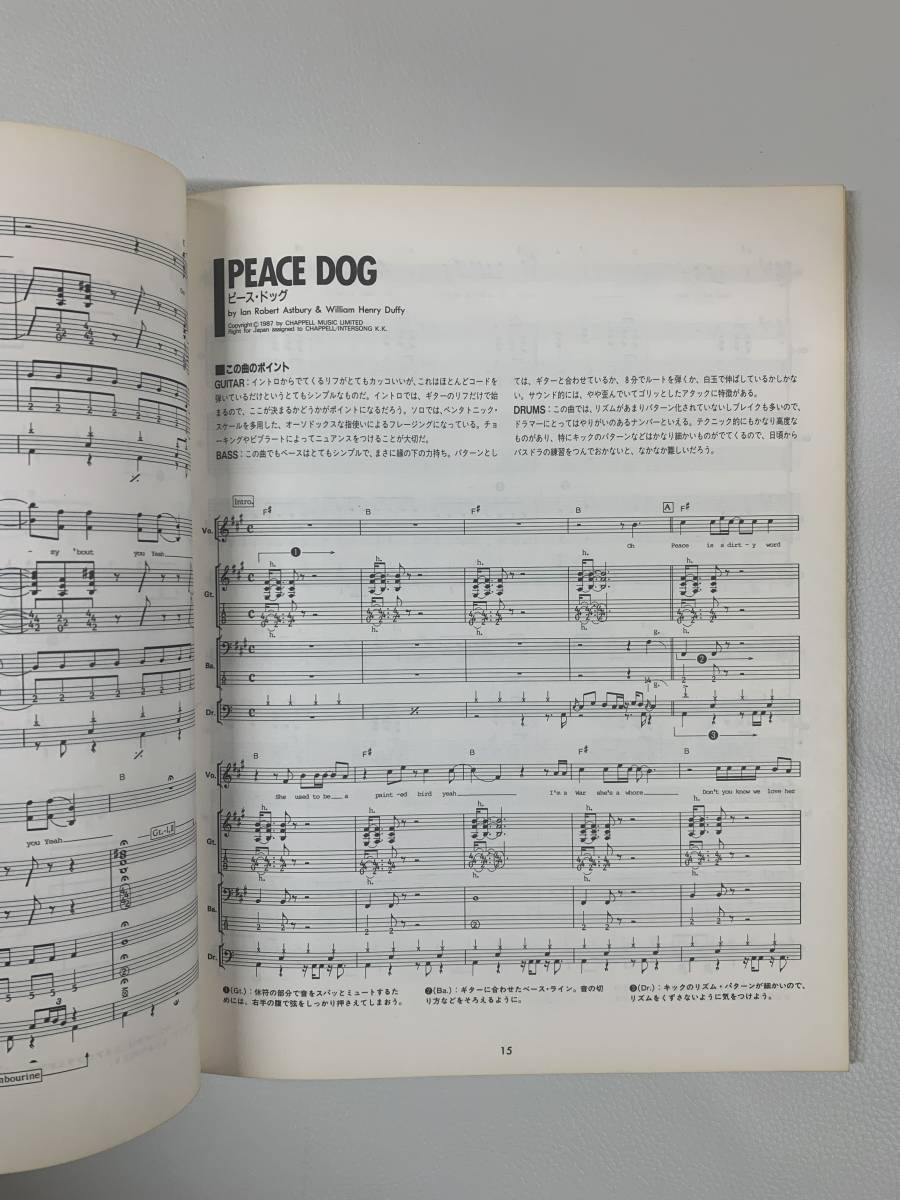 アート、エンターテインメント WARRANT Cherry Pie ウォレント
