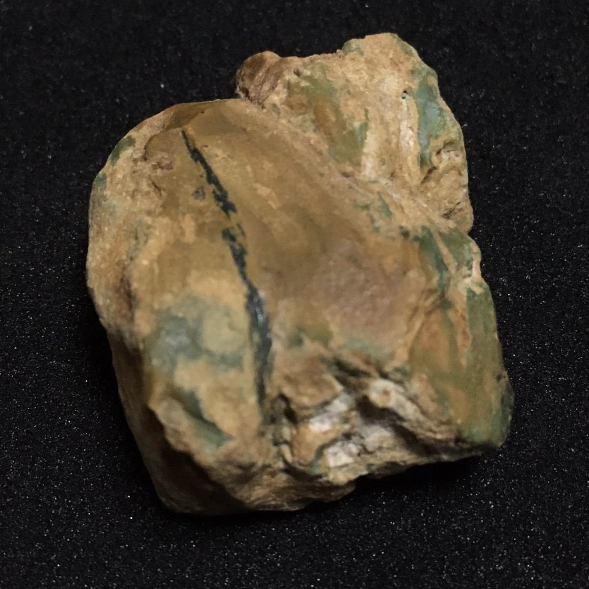 希少 国産 コラウッド 青珪化木 ペトリファイドウッド ジャスパー 碧玉  