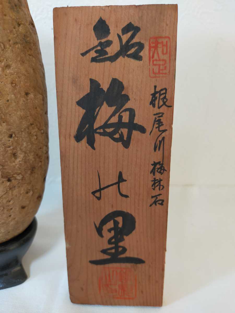 菊花石 鑑賞石 天然石 岐阜県 根尾川 ☆ 梅花石 約2kg 台座付