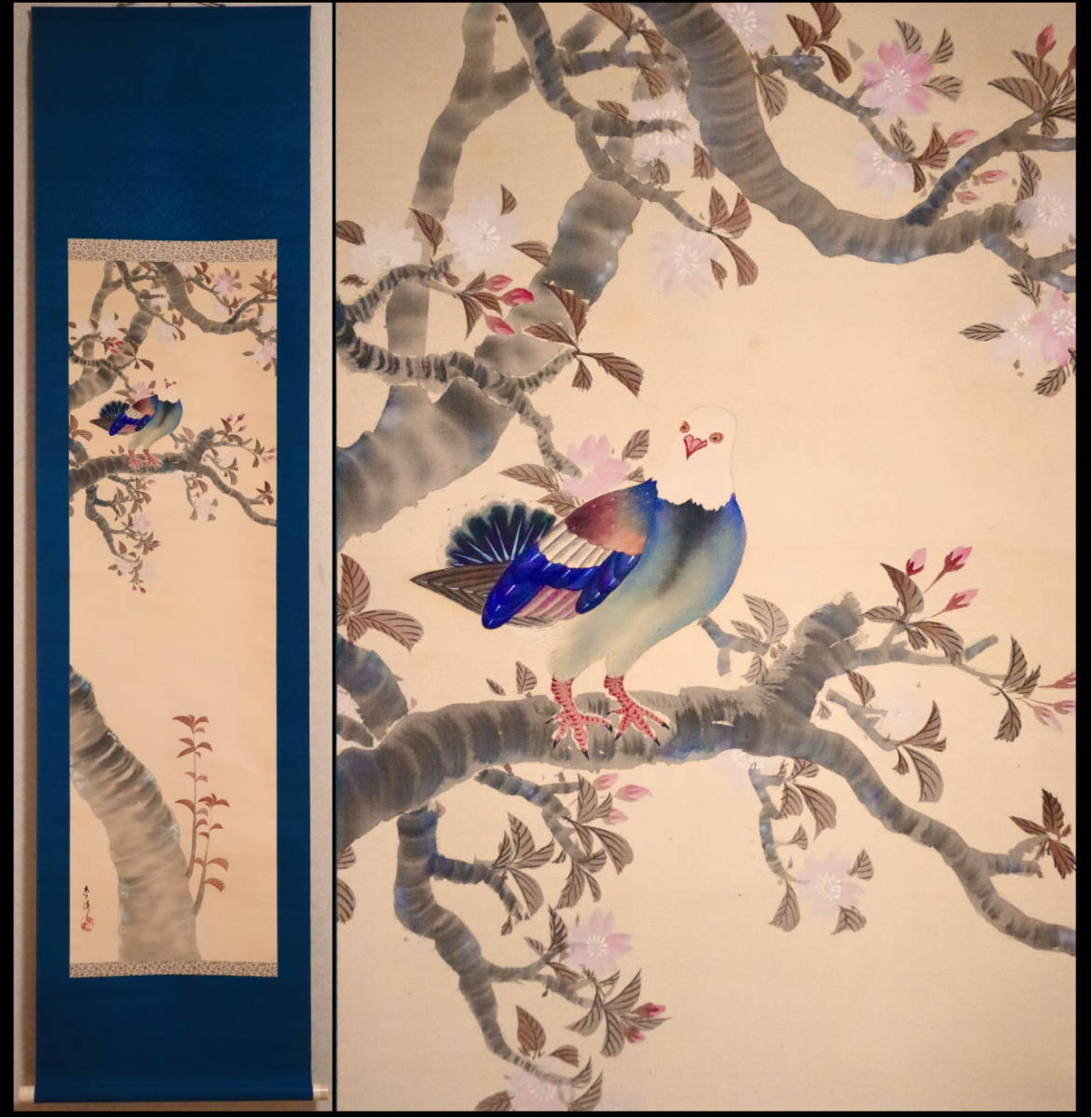 模写】掛軸 在銘 【桜鳩図】 春景 花鳥画 絹本 合箱 模写】掛軸 在銘 【桜鳩図】 春景 花鳥画 絹本 合箱