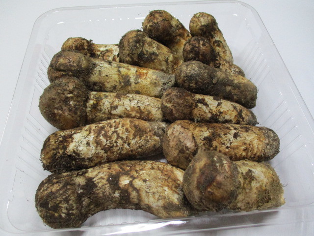 松茸 まつたけ | 長野の通販 信州産「天然松茸」（約400g⁄4～16本）
