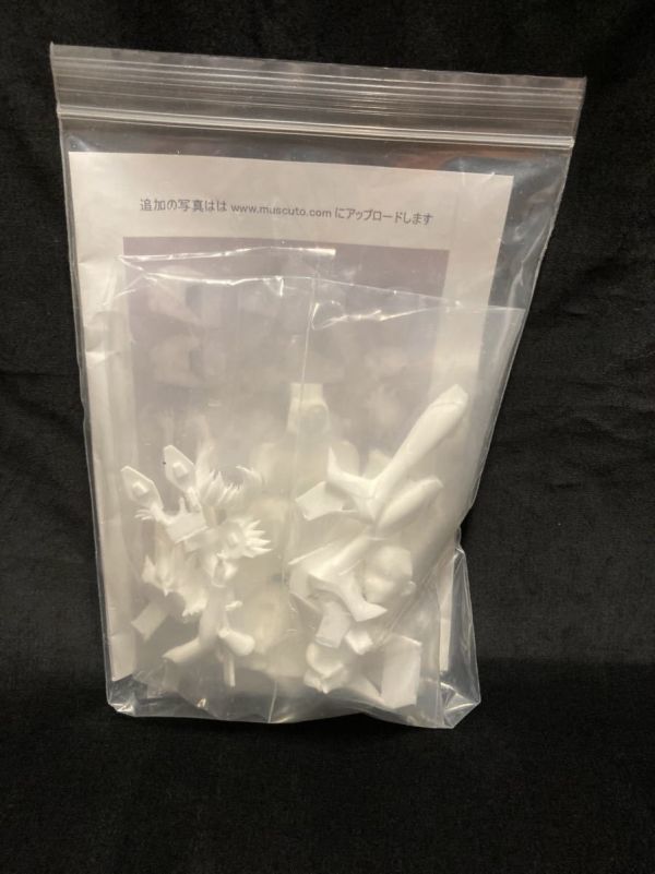 muscuto 対魔忍RPG 井河さくら 新品未開封品 対魔忍アサギ ガレージ