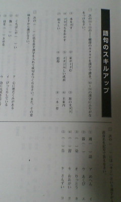 日能研 難関校日特 6年 駒場東邦中 国語 2015年度 サピックス 開成