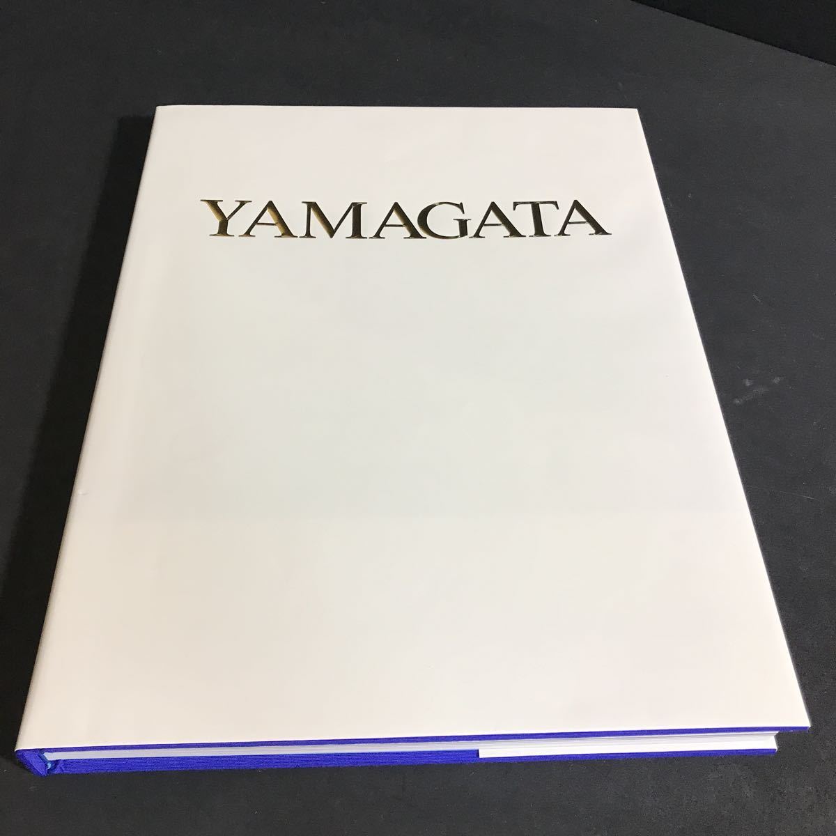 山形博導画集 | - 博導 山形 |本 通販 大得価，お買い得 ヒロ