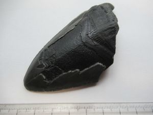 メガロドン 化石のヤフオク の相場 価格を見る ヤフオク のメガロドン 化石のオークション売買情報は14件が掲載されています