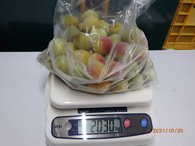 ほんまもんの南高梅 冷凍梅で梅干し 4Kg みなべ町より