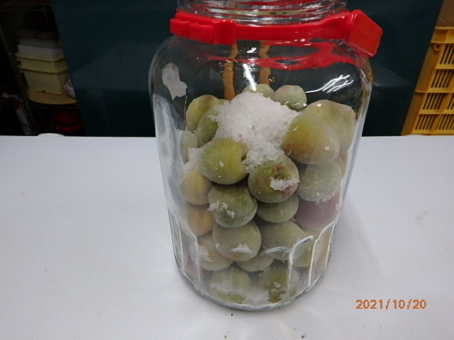 ほんまもんの南高梅 冷凍梅で梅干し 4Kg みなべ町より