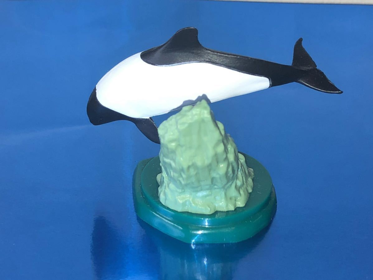 イロワケイルカ イルカ 水族館限定 海洋堂 Aquarium Figure Collection ガシャポン 生き物 売買されたオークション情報 Yahooの商品情報をアーカイブ公開 オークファン Aucfan Com
