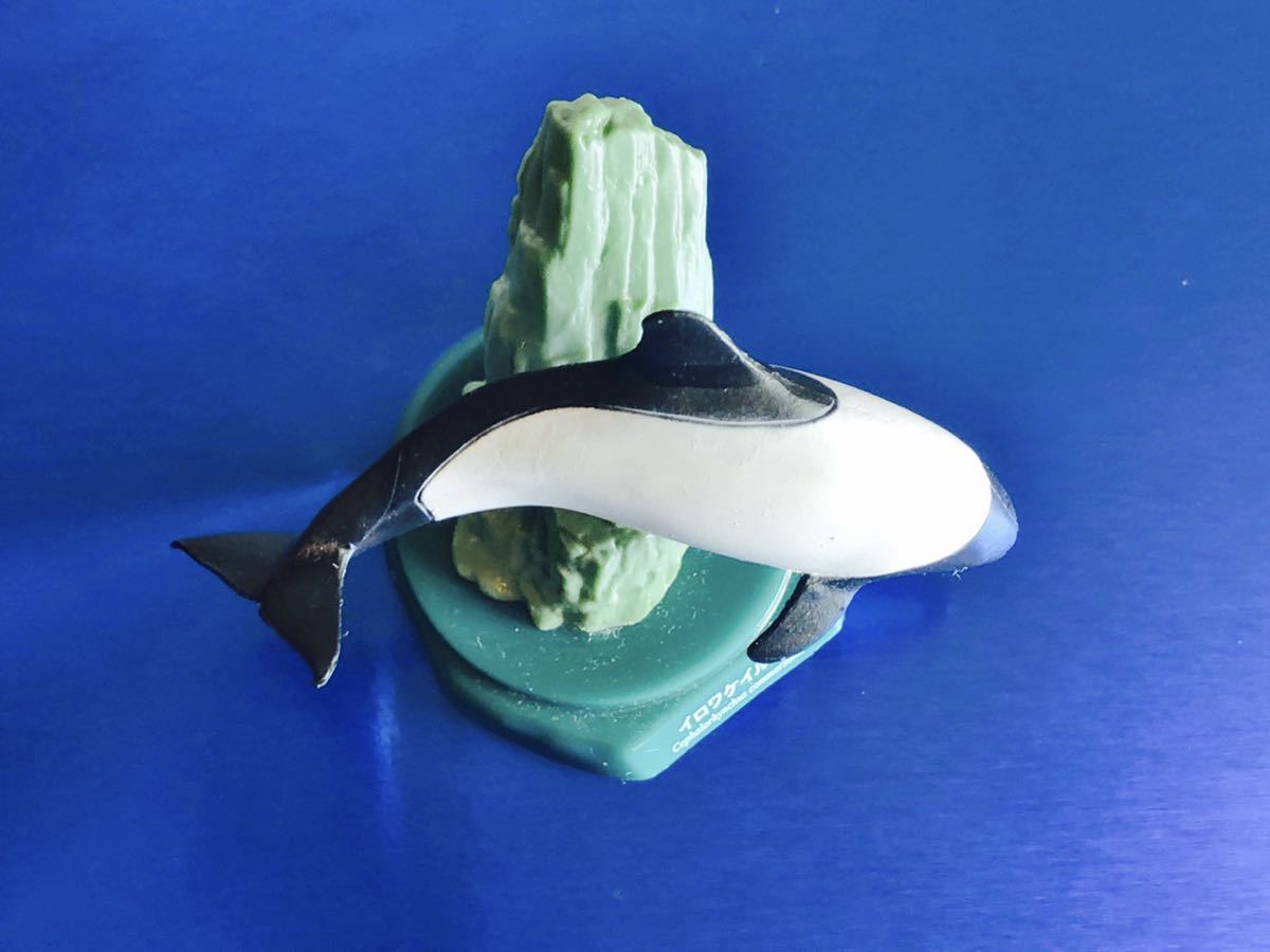 イロワケイルカ イルカ 水族館限定 海洋堂 Aquarium Figure Collection ガシャポン 生き物 売買されたオークション情報 Yahooの商品情報をアーカイブ公開 オークファン Aucfan Com