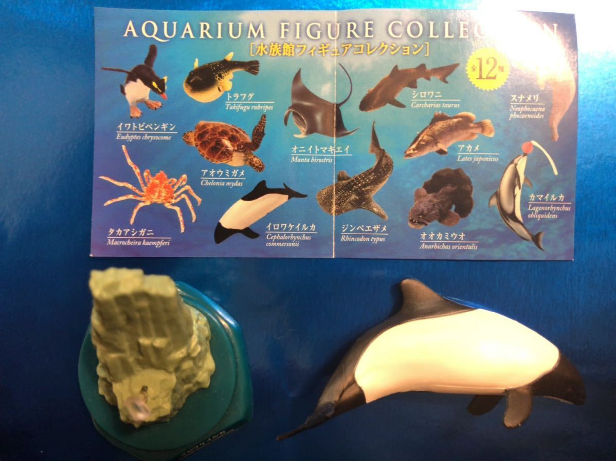 イロワケイルカ イルカ 水族館限定 海洋堂 Aquarium Figure Collection ガシャポン 生き物 売買されたオークション情報 Yahooの商品情報をアーカイブ公開 オークファン Aucfan Com