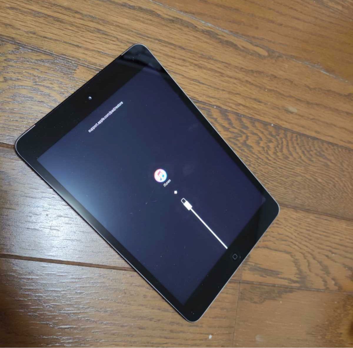 iPad 32GB 0 mini2 - mini Mini 初期化済みの Wi-Fi版 ジャンクiPad 本体