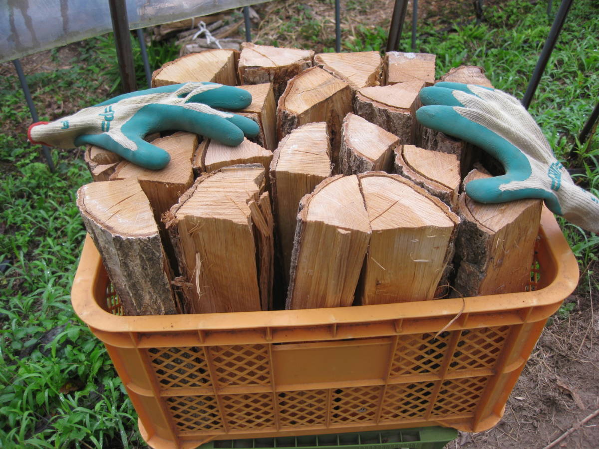薪 乾燥薪 薪ストーブに! 100kg(20kg×5箱)乾燥期間:半年~1年