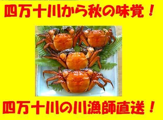 定番人気 四万十川の秋の味覚天然モクズガニ 10 12杯約1.3kｇ 2セット(カニ)｜売買されたオークション情報、yahooの商品情報をアーカイブ公開 - オークファン その他