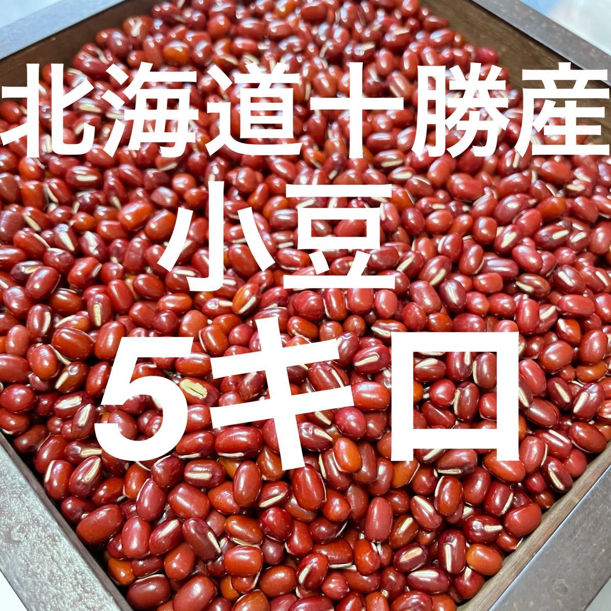 令和３年産　北海道十勝産小豆　5キロ