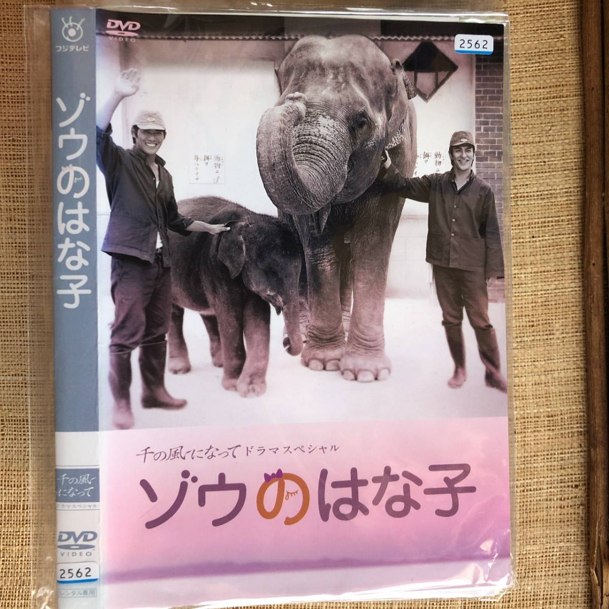 B09JKXK91Q□ 千の風になってドラマスペシャル 「ゾウのはな子」 DVD