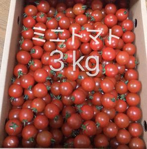 ミニトマトのヤフオク の相場 価格を見る ヤフオク のミニトマトのオークション売買情報は116件が掲載されています