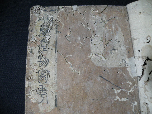66 江戸刊 和蘭産物図考 巻一～巻五 合本 ※イタミ / 和本 歴史 開国 