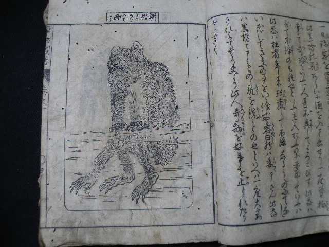 66 江戸刊 和蘭産物図考 巻一～巻五 合本 ※イタミ / 和本 歴史 開国 