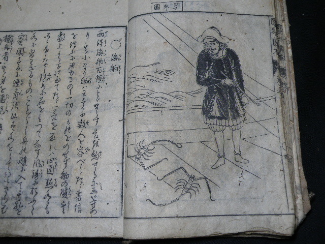 66 江戸刊 和蘭産物図考 巻一～巻五 合本 ※イタミ / 和本 歴史 開国 