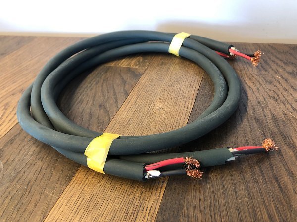 ドイツ製 EINSTEIN アインシュタイン 極太 スピーカーケーブル