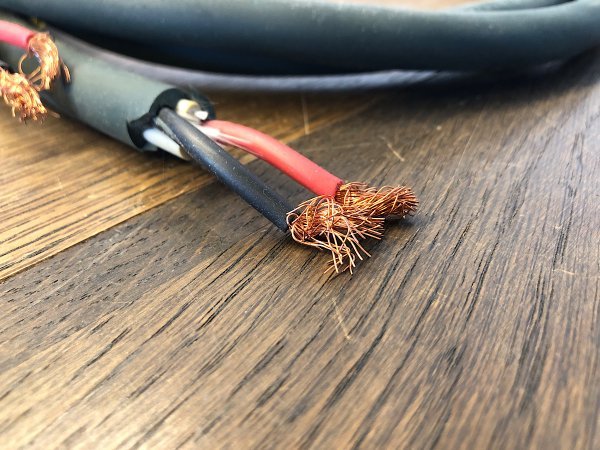 ドイツ製 EINSTEIN アインシュタイン 極太 スピーカーケーブル