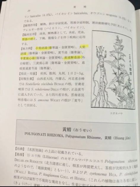 和漢薬の事典 初版 和漢薬の事典