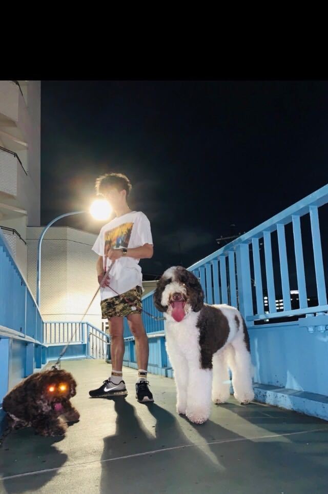 【MARBLES マーブルズ×SCARFACE スカーフェイス】TシャツL 日本製 キムタク着 元TMTスタッフが立ち上げたサーフブランド「マーブルズ」