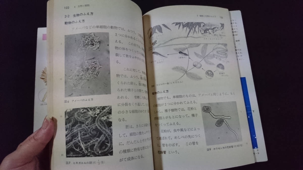ｎ 古い教科書 改訂 理科 2分野上 中学校 理科 教科書 昭和60年発行 新興出版社啓林館 P31外 中学校 売買されたオークション情報 Yahooの商品情報をアーカイブ公開 オークファン Aucfan Com