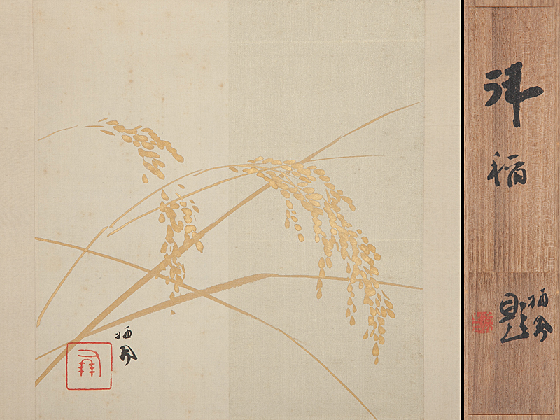 掛け軸 蝶 二重箱 掛け軸 蝶 二重箱 竹内栖鳳 絹本 掛軸 識箱 2重箱