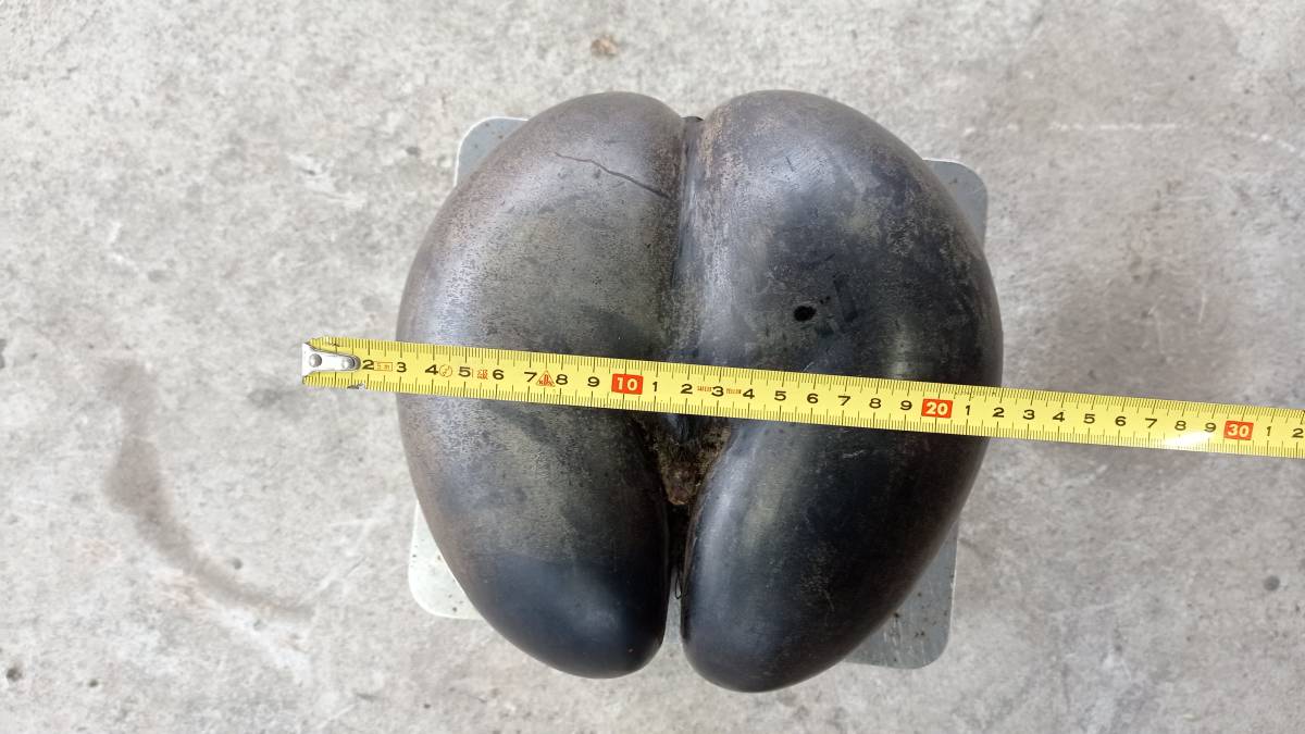 激レア フタゴヤシの実 重量約3 2kg 約22 cm オオミヤシ 双子椰子 大実椰子 ウミヤシ ココ デ メール ダブルココナッツ ヤシの実 その他 売買されたオークション情報 Yahooの商品情報をアーカイブ公開 オークファン Aucfan Com