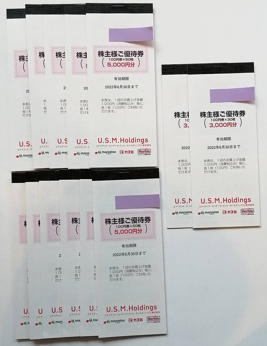 ユナイテッド・スーパーマーケット 株主優待券 66000円分 6/30迄 マルエツ カスミ マックスバリュ