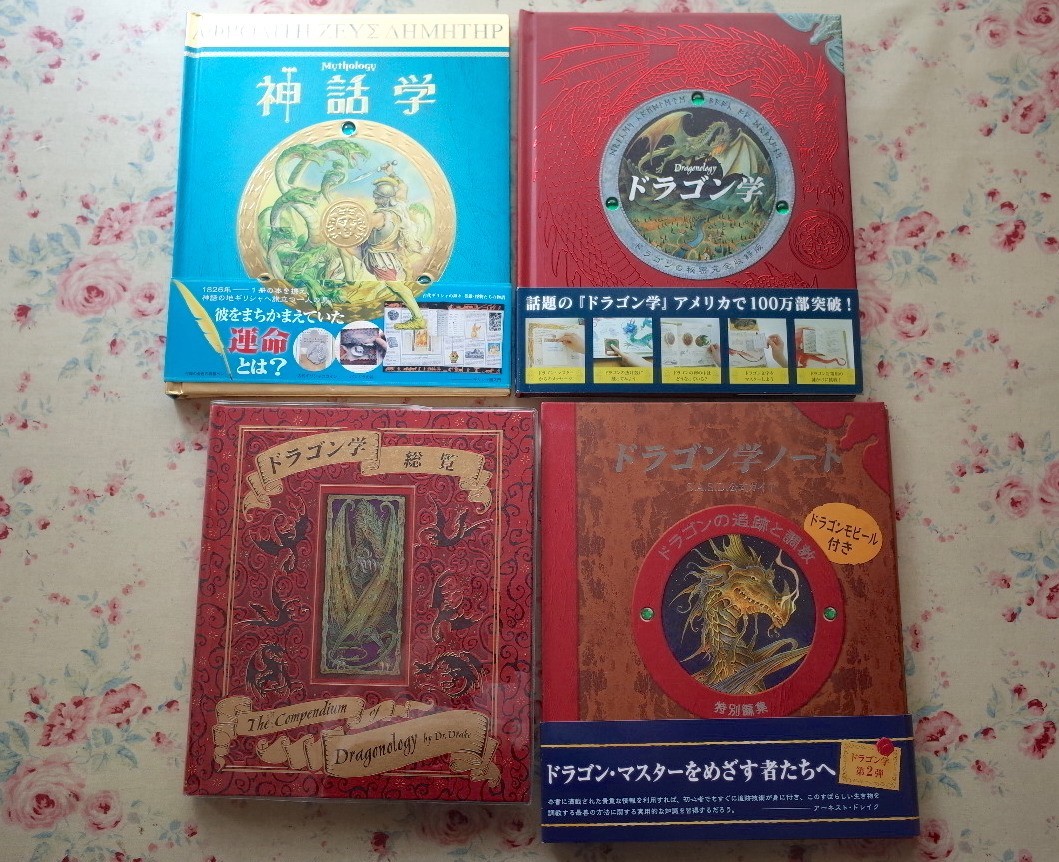 ◇一本の線からFrom a Line1＆2 堀内紀子 ネット遊具が育む子どもたち