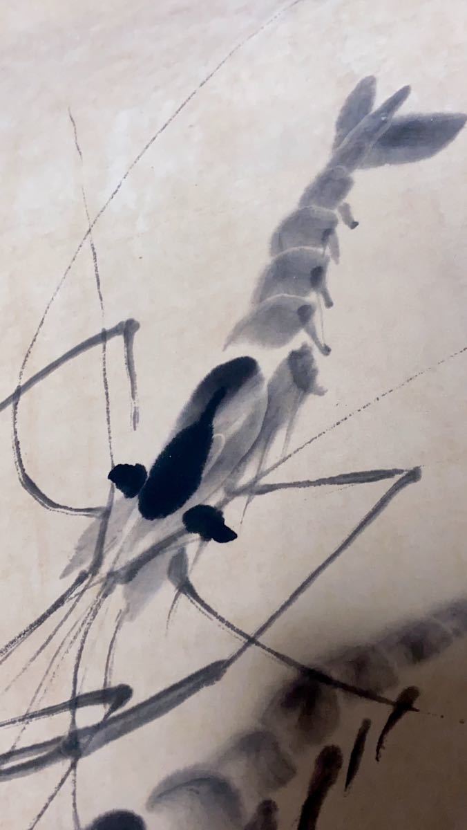☆藏品☆中国近代名家 斉白石 斎白石 エビ 肉筆 芯絵 近現代 水墨画