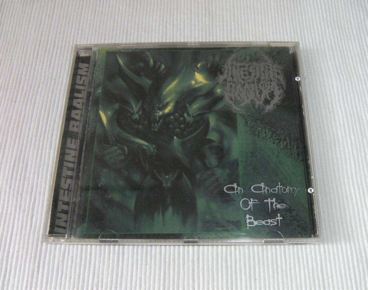 □Intestine Baalism/An Anatomy of the Beast□メロデス スラッシュ