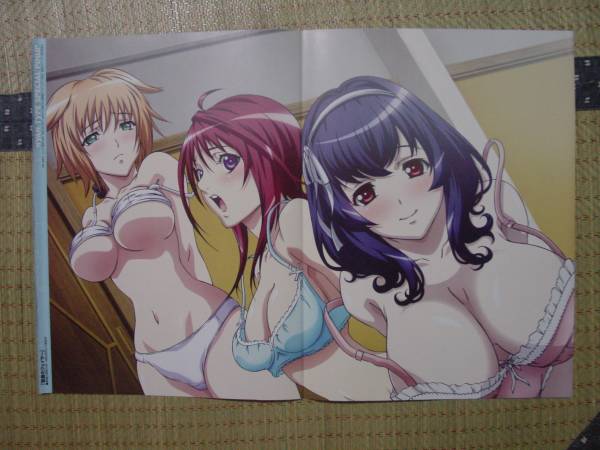 聖痕のクェイサー 山辺燈 織部まふゆ テレサ ベリア 下着 魔法戦記リリカルなのはforce リリィ アイシス 両面ピンナップポスター その他 売買されたオークション情報 Yahooの商品情報をアーカイブ公開 オークファン Aucfan Com