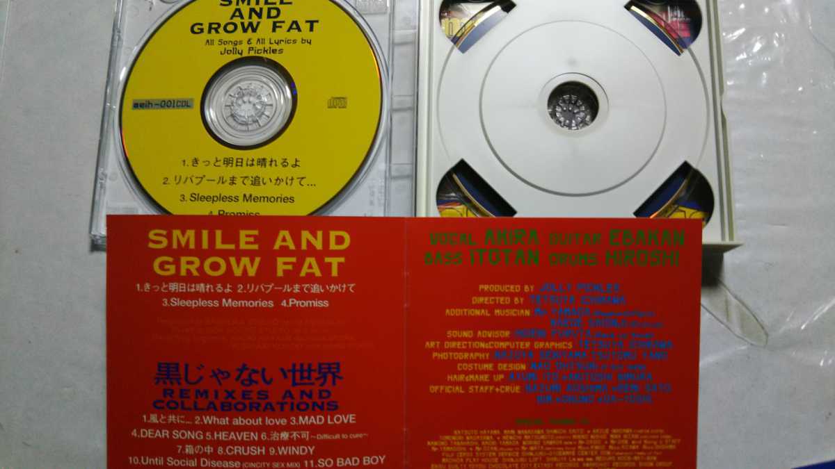 JOLLY PICKLES『Smile and Grow Fat + 黒じゃない世界』ジャパメタ 