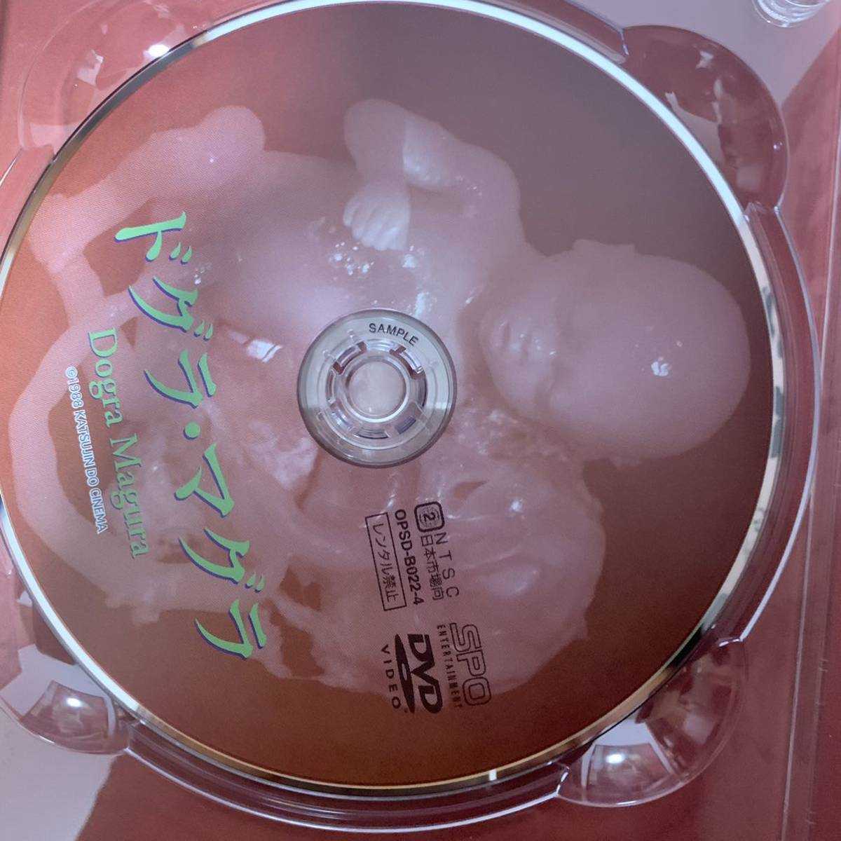 1円スタート！！/サンプル盤】松本俊夫全劇映画 DVD-BOX/薔薇の葬列