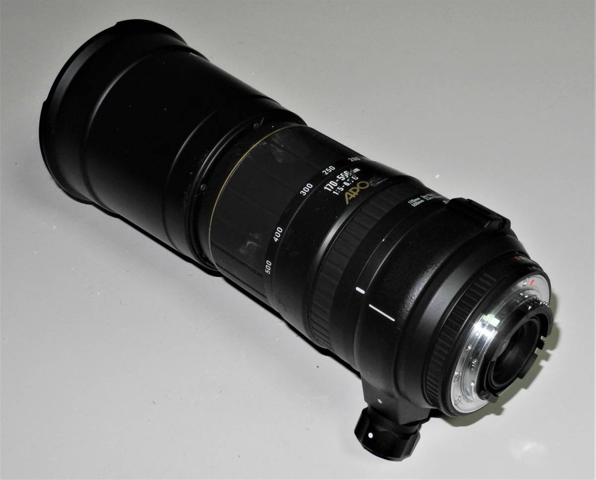 SIGMA APO 170-500mm F5-6.3 DG Nikon ( ニコン )マウント キャップ