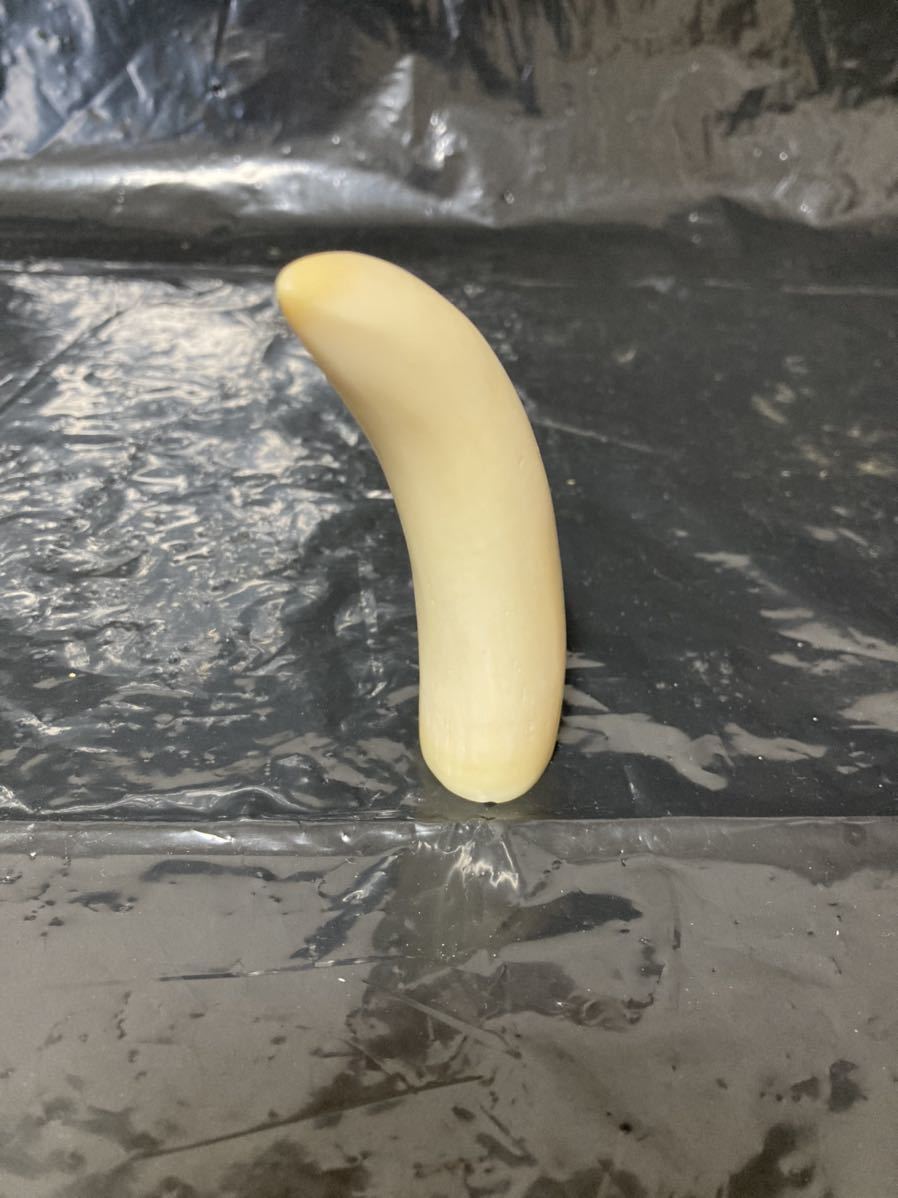 鯨の歯で作った置物 鯨 歯 彫刻 浮彫 置物 【公式通販】