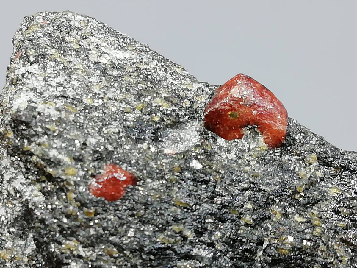 苦礬柘榴石 奈良県天川村産 水晶 灰鉄柘榴石 Quartz Andradite