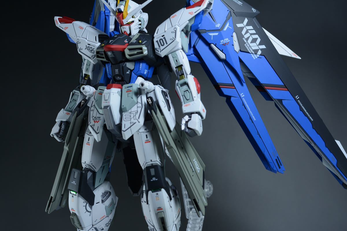 MG 1/100 フリーダムガンダムVer.2.0 改修 塗装 完成品 【公式通販】
